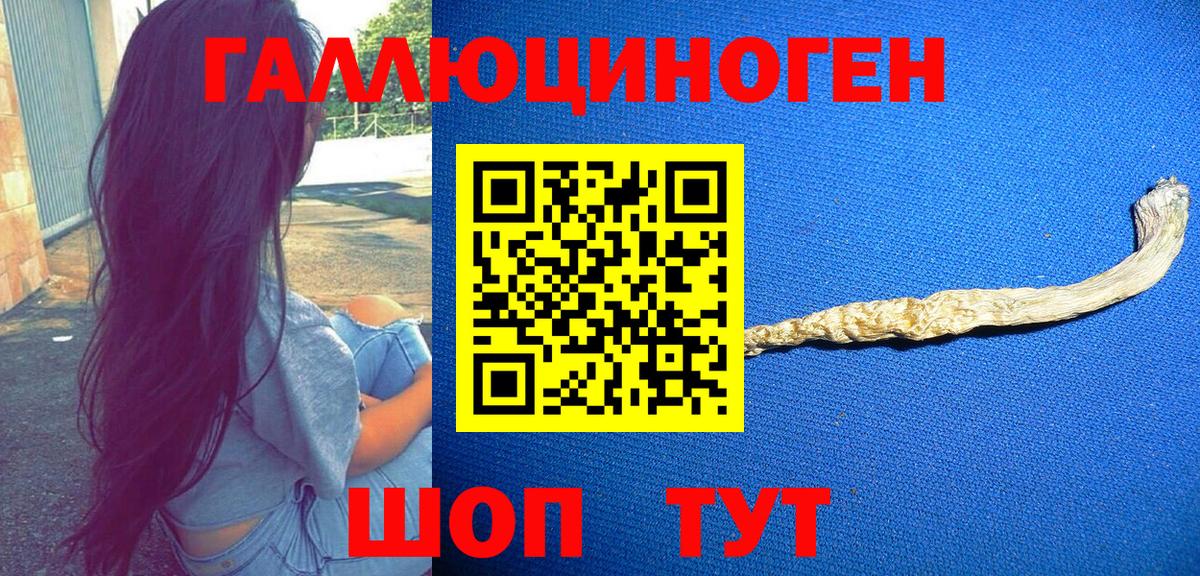 Галлюциногенные грибы мухоморы  Вход с VPN  где найти   Славгород 